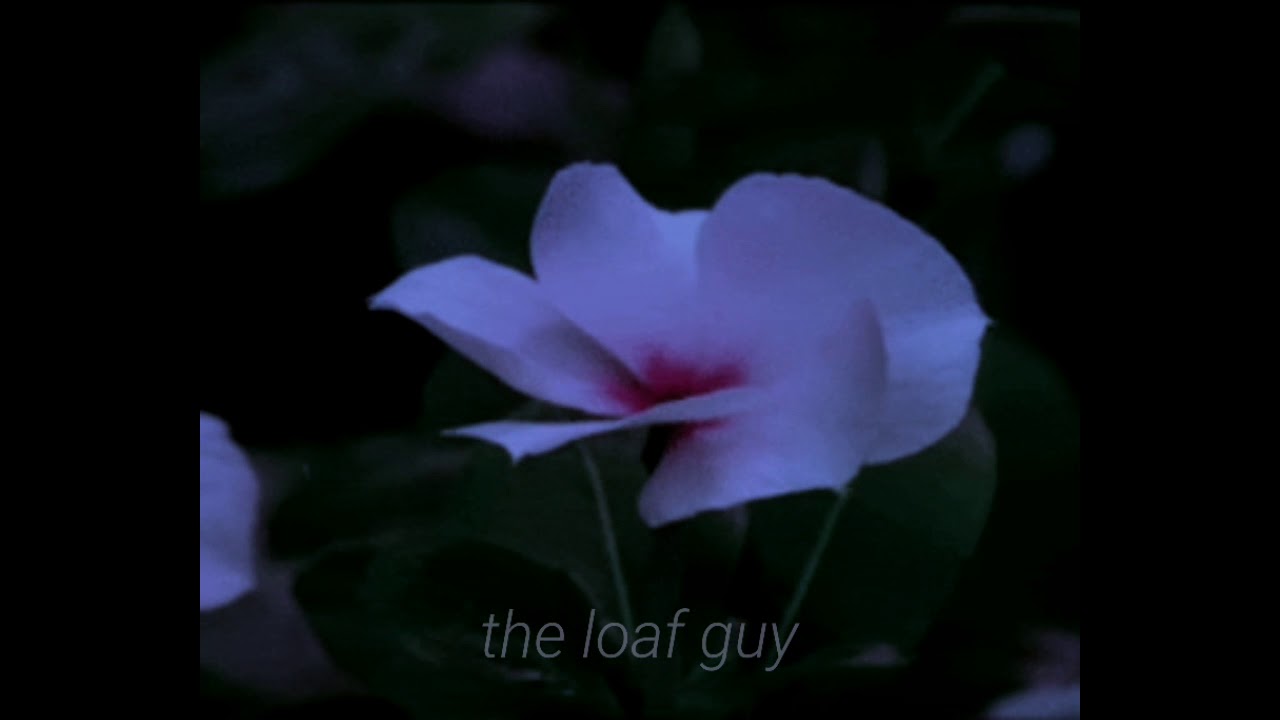 billie eilish - hostage | slowed + reverb