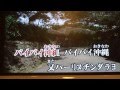 バイバイ沖縄 カラオケ体験日記(* ́ω`)