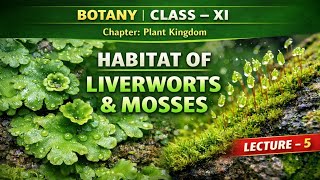 PLANT KINGDOM | HABITAT OF LIVERWORTS | MOSSES | BOTANY CLASS XI | LECTURE-5