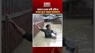 ভারতের বৃষ্টিতে বাংলাদেশে বন্যার শঙ্কা । Teesta River Update #Teesta #বন্যা #Bangladesh