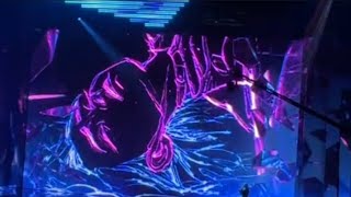 Twenty One Pilots, D4VD, and Royal & The Serpent perform music from Arcane: League of Legends
