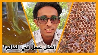 فلوق | لا يفوتك شاهد موسم جني العسل الدوعني الافضل عالمياً..