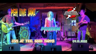 theCAUSE - Possum (Rocking Phish Cover) - Live @ Feel Good Farms - 09.12 2020