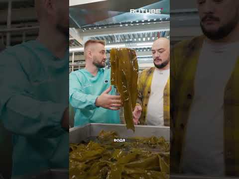 Употребляете водоросли?(Источник видео: https://vk.cc/cEUNjJ)#родное #юнусов #водоросли