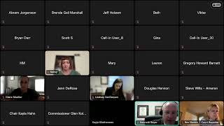 Virtual Public Hearing for Ameren