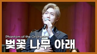 210504_손태진 최성훈 - 벚꽃 나무 아래 (손태진 FOCUS)