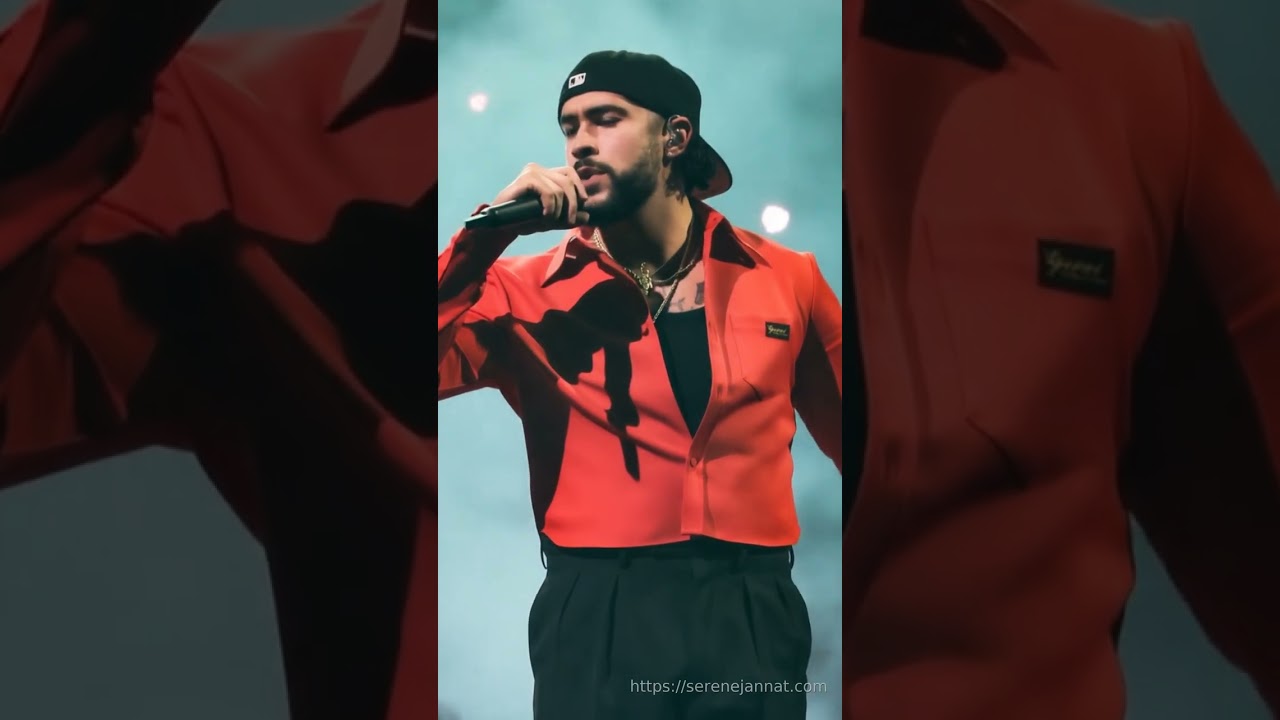 Super Bowl Halftime Show 2026 Best Moments And Reactions