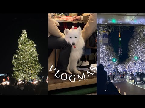 [CC]  tokyo vlogmas | 東京的聖誕節、日常生活、黑五開箱、渋谷初恋咖啡、第一次滑雪、交換學生 | nu1l