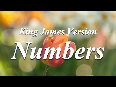 04 - Numbers - The Holy Bible - King James Version - YouTube