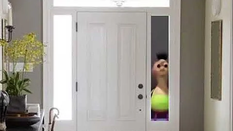 HAMOOD HABIBI attempts to break into your home