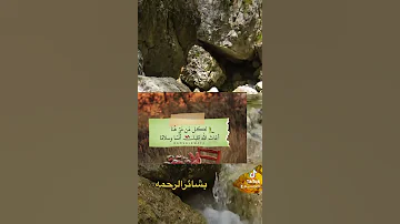اللهم لا تجعلنا ممن استهوتهم الشياطين فشغلتهم بالدنيا عن الدين 
