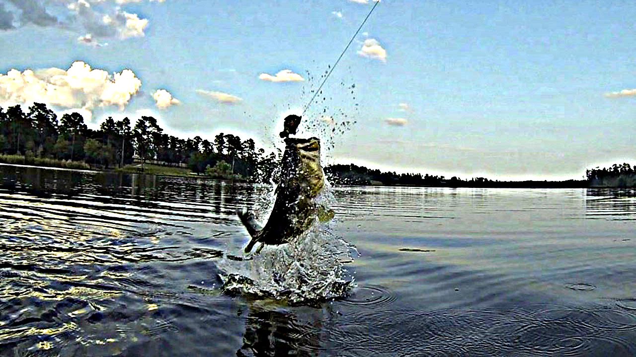 Big Bass Eat Big Swimbaits: Mattlures Hardgill – Bluegill