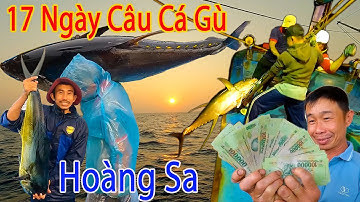 FULL 17 NGÀY CÂU CÁ GÙ BIỂN HOÀNG SA,Khấu Cá Hồi Hộp Từng Giây Từng Phút.