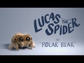 Lucas the Spider - Polar Bear