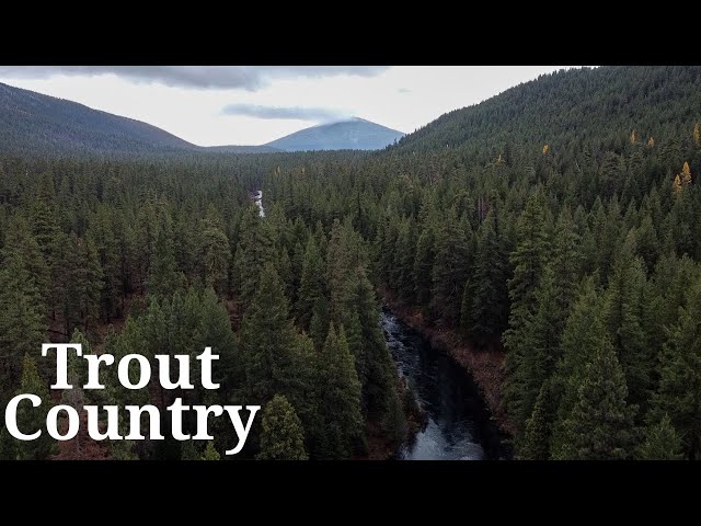 Chasing Bulls *Episode 1* Bull Trout Country 