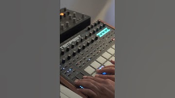 Hands-On Analog Drum Machine | Dave Smith & Roger Linn Tempest