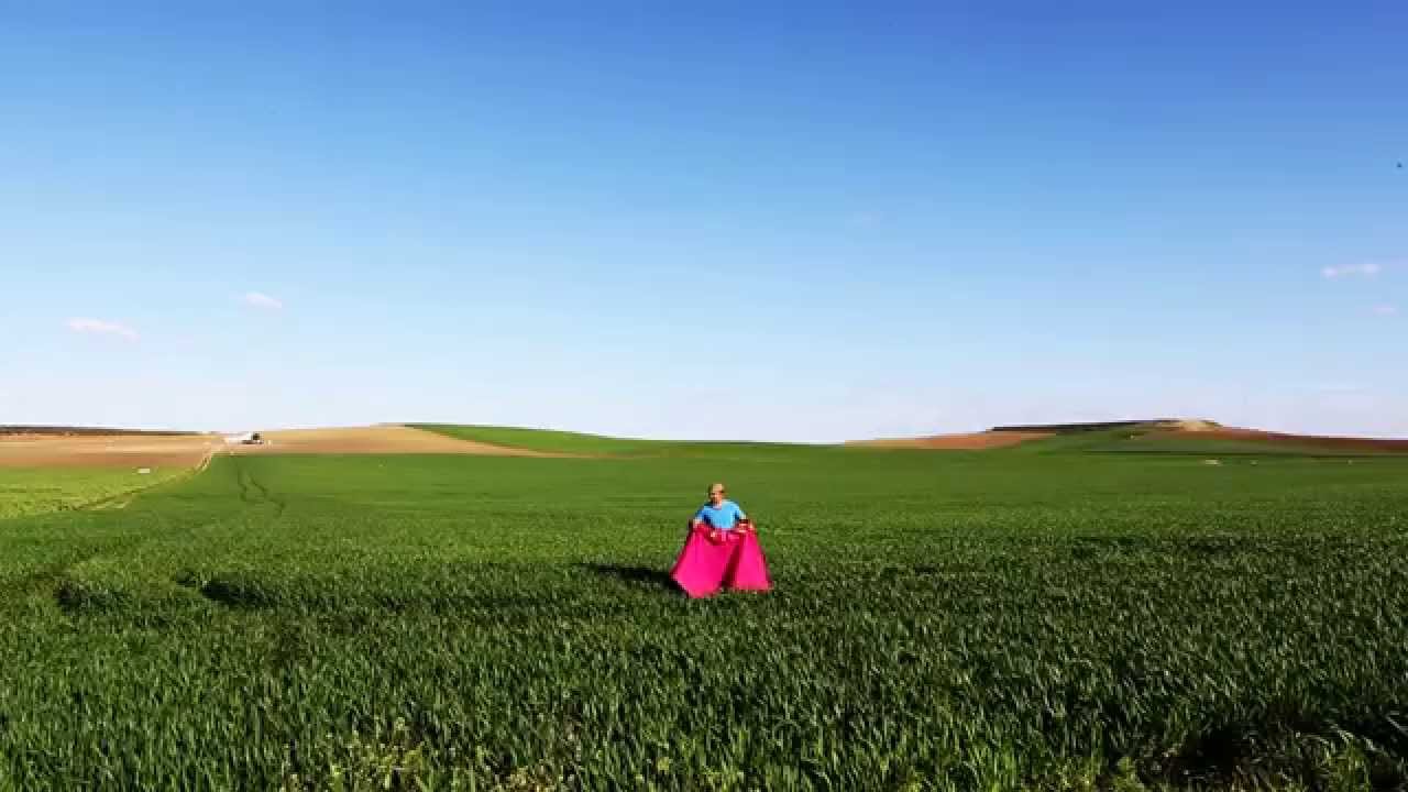 Ruta Taurina del Valle del Guadalquivir: Naturaleza