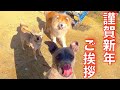 大吉・わさび・ぴ〜と新年のご挨拶