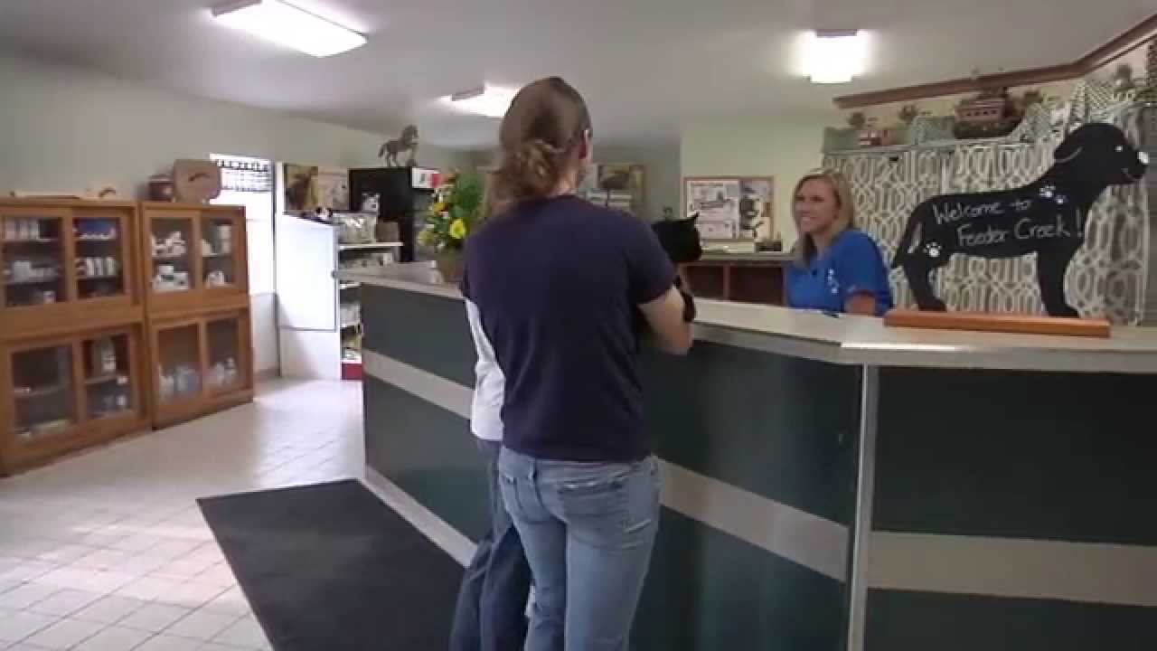 Feeder Creek Veterinary Service Short Millersport Oh Youtube
