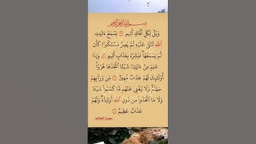 القرآن الكريم سورة الجاثية