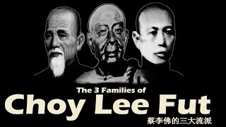 The 3 Families of Choy Lee Fut by  Sifu Frank McCarthy