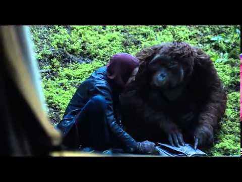 Dawn of the Planet of the Apes / Планета обезьян: Революция / მაიმუნების პლანეტის განთიადი