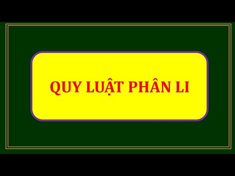 Video BÀI 8 SINH HỌC 12-QUY LUẬT PHÂN LI |hocgioisinhhoc - YouTube