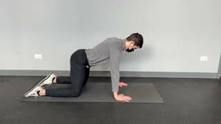Quadruped Pelvic Tilts