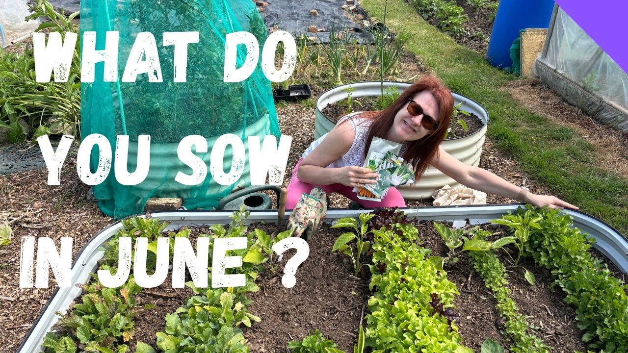 What To Sow In June - Allotment Gardening For Beginners UK - YouTube