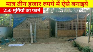 मात्र तीन हजार रुपये में निर्माण कीजिये 200 मुर्गियों का फार्म(Local chicken farming@Tips Assam)