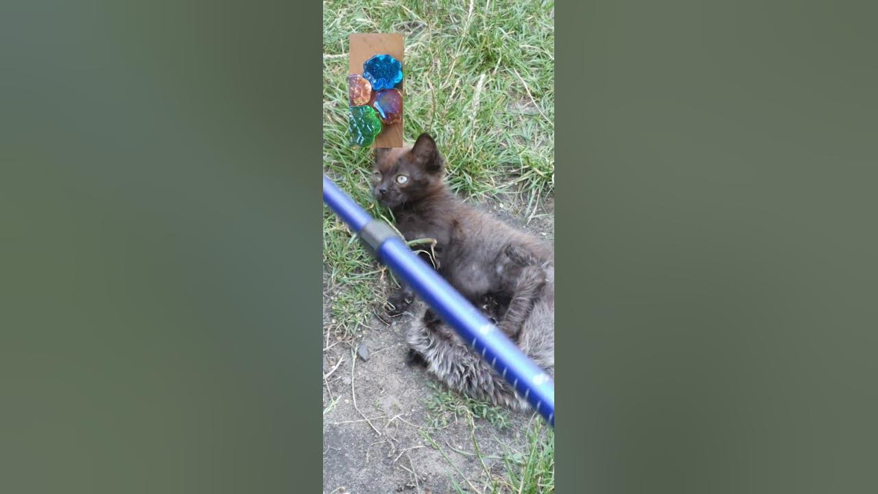 Пийте чай. - YouTube