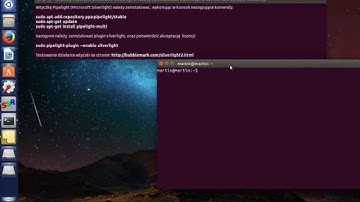 Ubuntu 14.04 LTS Pipelight (Silverlight) installing plugins