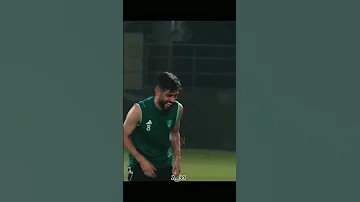 سيفين ونخلة 