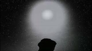 D.A.N. - Daydreaming