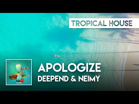 Deepend & NEIMY - Apologize [OneRepublic Cover]