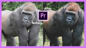 How to Make Cinematic Film Look | Depth of Field & Color | Adobe Premiere Pro CC Tutorial