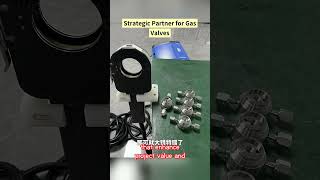 Professional valve manufacturer: ball valve, gate valve, check valve, globe valve. Support custom &amp;