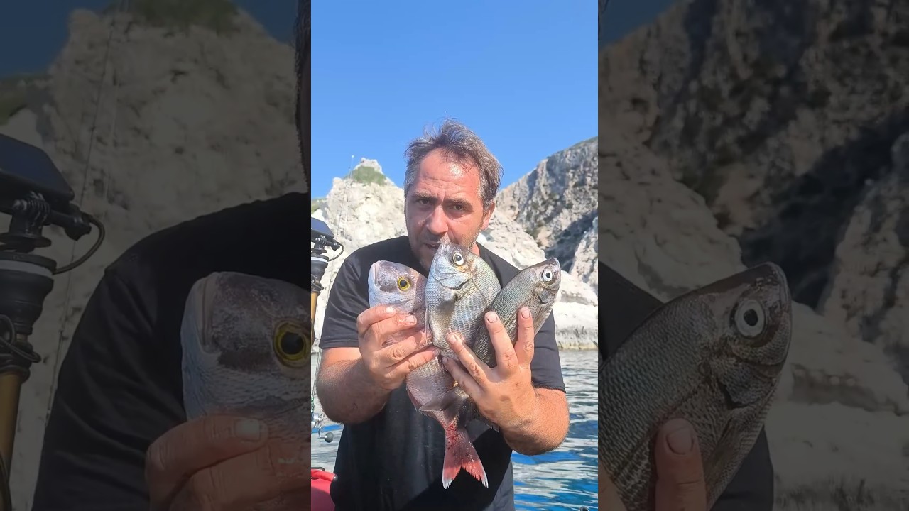 TIPS για ΨΆΡΕΜΑ 21✅ ΔΌΛΩΜΑ ΡΟΔΈΛΑ ΣΟΥΠΙΑΣ και ΑΡΜΑΤΩΣΙΆ για ΠΟΛΛΆ ΨΆΡΙΑ #zavrasfishing #fishingtips