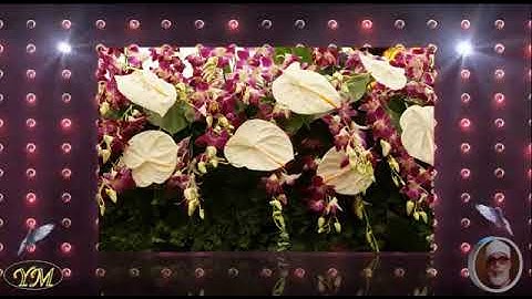 087 Surat  AlA'la القران الكريم بصوت محمود خليل الحصري سورة  الأعلى