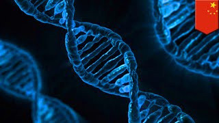 CRISPR gene-edited babies may have shorter lives - TomoNews