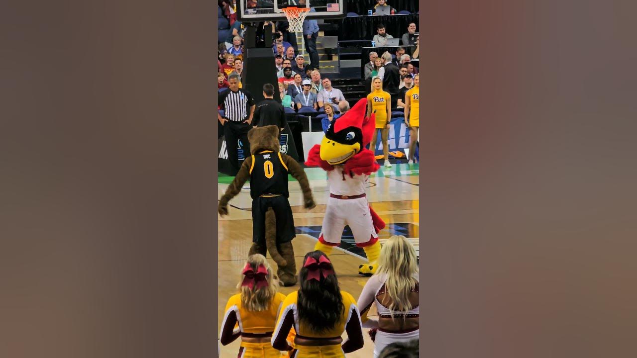 Dance Off Between Mascots Pitt vs Iowa State March Madness