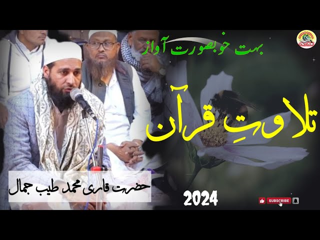 JANAB QARI Mohammad Tayyab Jamal SAHAB UMRI BIJNOR #2024 #tilawatequran class=