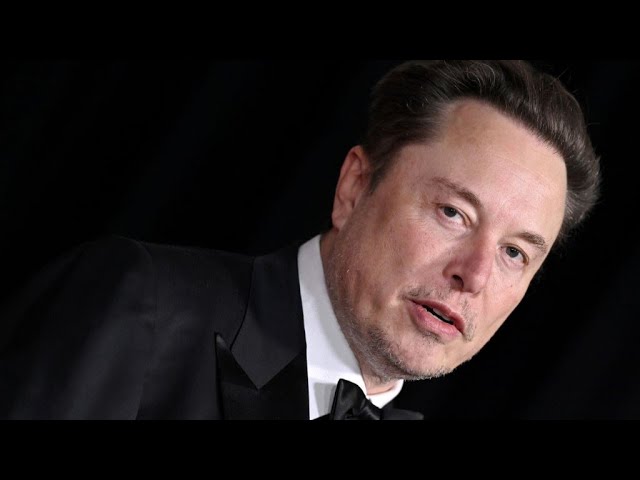 Musk Says Tesla to Accelerate Launch of Cheaper Cars