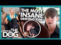 Victoria in Shock after the 'Most Insane' Greeting She's Ever Endured! | It's Me or The Dog