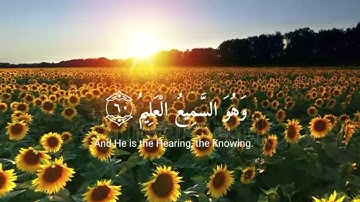 {ٱلَّذِينَ صَبَرُواْ وَعَلَىٰ رَبِّهِمْ يَتَوَكَّلُونَ}سورة (النحل- الاية 42)