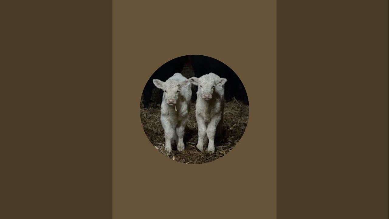 How many numbers do you see?