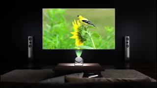 bdc3ca96e4424a61b2f81ab676637278.HD-720p-1.6Mbps-40675348.mp4