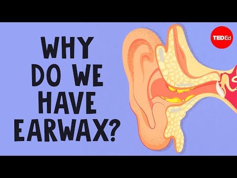 What is earwax — and should you get rid of it? - Henry C. Ou thumbnail