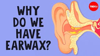 what is earwax and should you get rid of it henry c ou