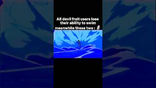 Like Father Like Son With Devil Fruit 4K Video